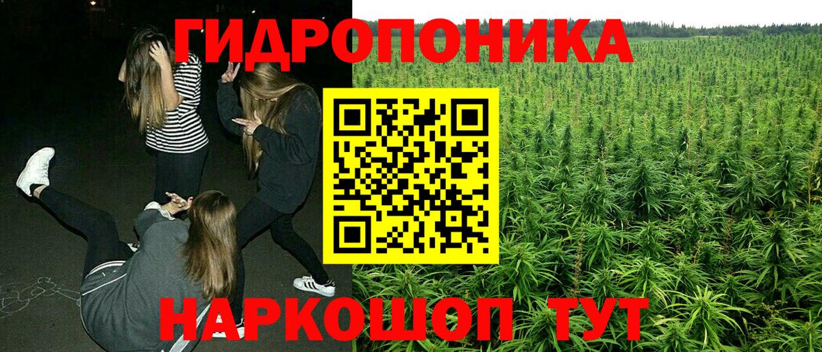 Конопля Ganja Орск